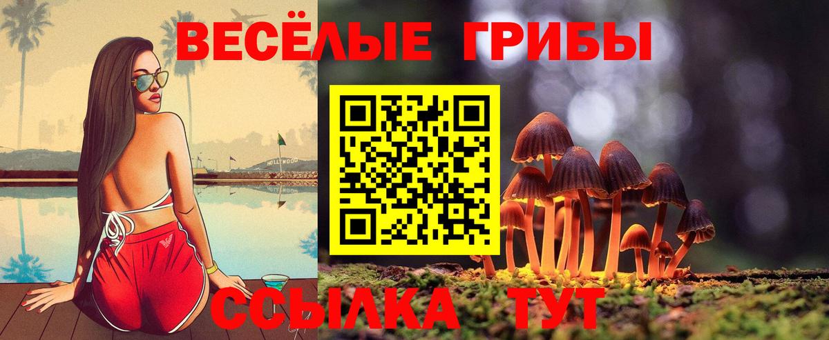 Псилоцибиновые грибы прущие грибы  Псилоцибиновые грибы GOLDEN TEACHER  Кулебаки  Вход с VPN 