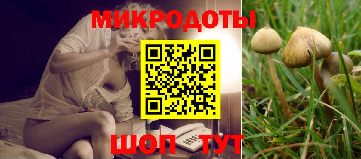 Псилоцибиновые грибы мицелий Кулебаки